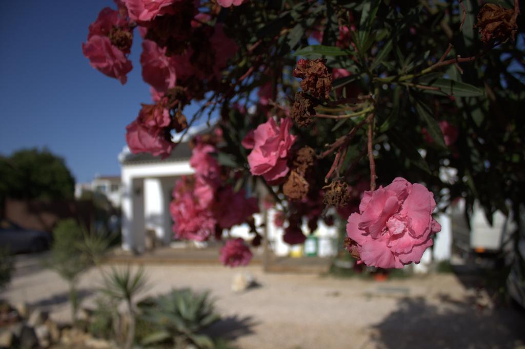 Puravida Divehouse Bed & Breakfast Sagres Exterior photo